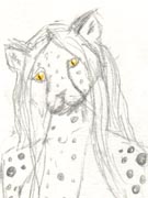 A sketch of Annie
