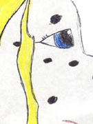 Dalmation