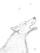 Howl