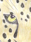 A Jaguar
