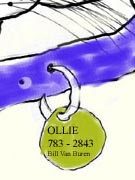 In Loving Memory of Ollie