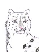 A Snowleopard