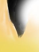 Wolf Eye
